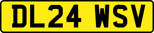 DL24WSV