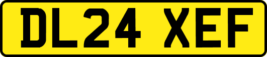 DL24XEF
