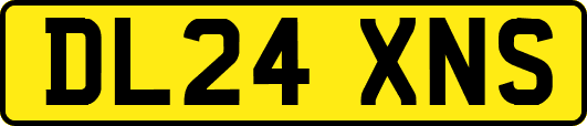 DL24XNS