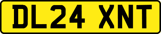 DL24XNT