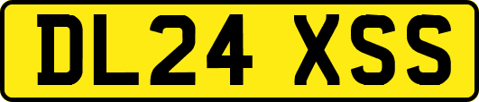 DL24XSS