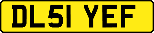 DL51YEF