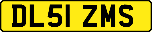DL51ZMS