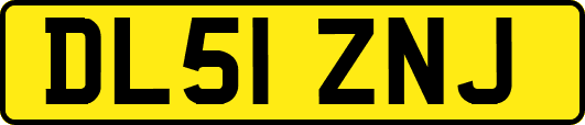 DL51ZNJ