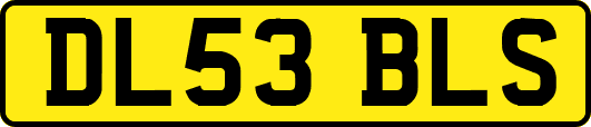 DL53BLS