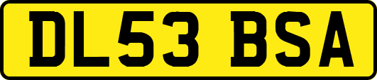 DL53BSA