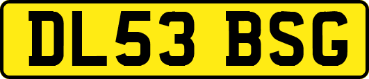 DL53BSG