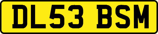 DL53BSM