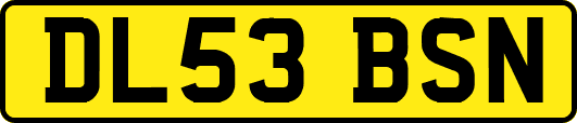 DL53BSN