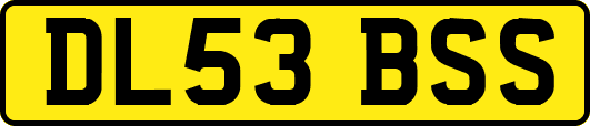 DL53BSS
