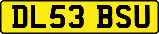 DL53BSU