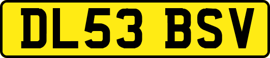 DL53BSV