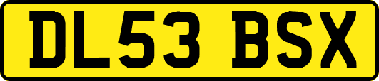 DL53BSX