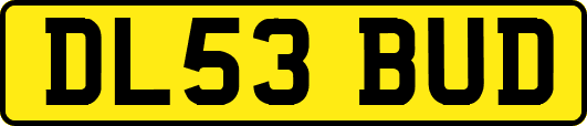 DL53BUD