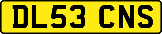 DL53CNS