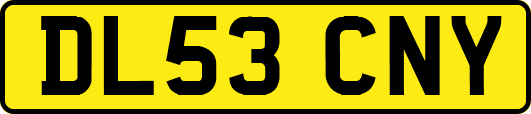 DL53CNY