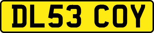 DL53COY