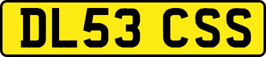 DL53CSS