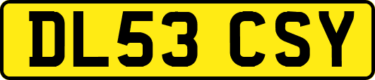DL53CSY