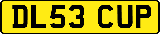 DL53CUP