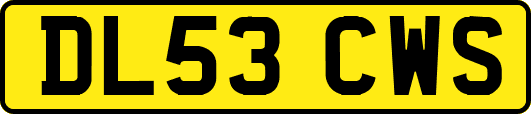DL53CWS