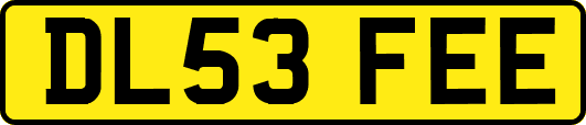 DL53FEE