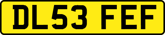 DL53FEF