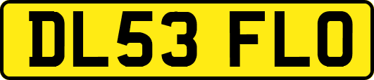 DL53FLO