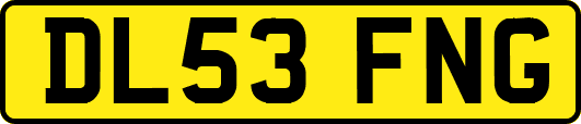 DL53FNG
