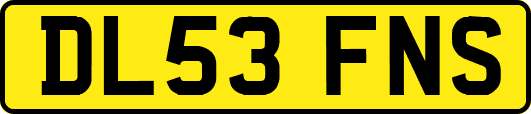 DL53FNS