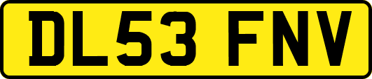 DL53FNV