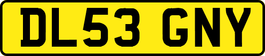 DL53GNY