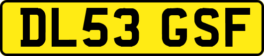 DL53GSF