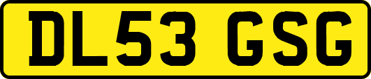 DL53GSG