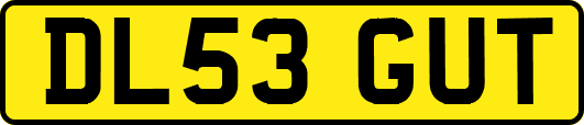 DL53GUT