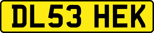 DL53HEK