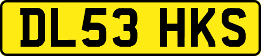 DL53HKS
