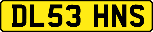 DL53HNS