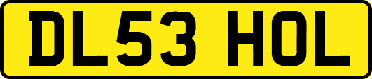 DL53HOL