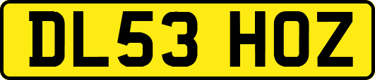 DL53HOZ