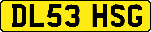 DL53HSG