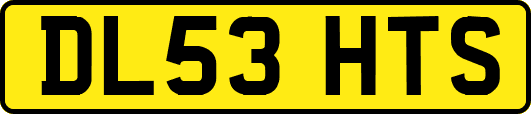 DL53HTS