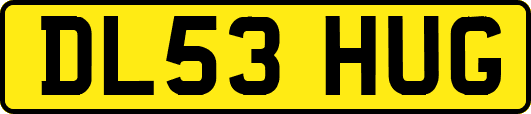 DL53HUG