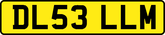 DL53LLM