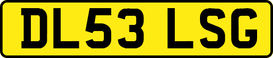 DL53LSG