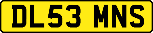 DL53MNS