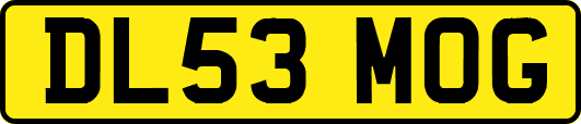 DL53MOG