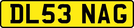 DL53NAG