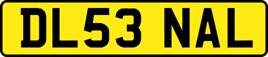 DL53NAL