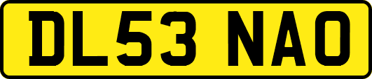 DL53NAO